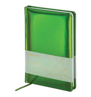 BRAUBERG Holiday Ежедневник недатированный А5