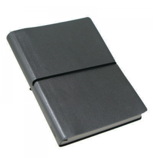 Ciak Silver Large  (уцененный товар)