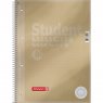 Тетрадь Brunnen Student Premium Metallic в клетку А4