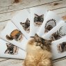 Lol&Kek Fancy Cat Handy А5, в точку