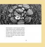 Книга «30 идей для дизайнеров» Дж. Краузе