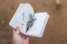 Voodoo Books Drop A6
