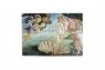 Manuscript Botticelli 1486 скетчбук с открытым переплетом А5