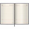 BRAUBERG Iguana Ежедневник недатированный А6