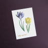 All Write Открытка почтовая Hello summer, A6