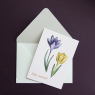 All Write Открытка почтовая Hello summer, A6