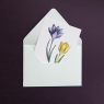 All Write Открытка почтовая Hello summer, A6