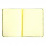 teNeues CoolNotes Light Green/Victorian Yellow