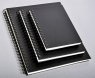 Clairefontaine Goldline блокнот для эскизов пейзажный A5 на спирали