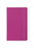 Arwey Baer Fucsia
