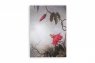 Manuscript Heade 1883 скетчбук с открытым переплетом А5