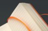 Rhodia Webnotebook Orange Medium
