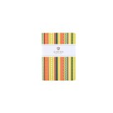 Carton Geometric Sketchbook Stripes А6