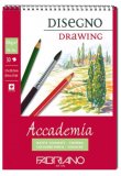 Fabriano Accademia Drawing - блокнот для зарисовок A4 спираль по короткой стороне Fabriano Accademia Drawing - блокнот для зарисовок A4 спираль по короткой стороне