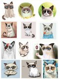 Сердитый кот (Grumpy Cat). Лист виниловых наклеек А4 Сердитый кот (Grumpy Cat). Лист виниловых наклеек А4
