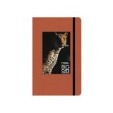 teNeues National Geographic Big Cats Large teNeues National Geographic Big Cats Large