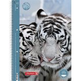 Тетрадь Brunnen Premium Fans of Earth - Tiger в линейку А4 Тетрадь Brunnen Premium Fans of Earth - Tiger в линейку А4