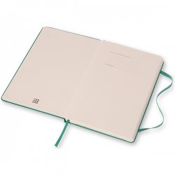Еженедельник Moleskine Classic (2017), Large, зеленый Еженедельник Moleskine Classic (2017), Large, зеленый